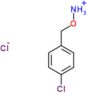 Hydroxylamine, O-[(4-chlorophenyl)methyl]-, hydrochloride (1:1)