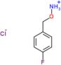 [(4-fluorobenzyl)oxy]ammonium chloride