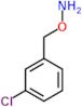 Hydroxylamine, O-[(3-chlorophenyl)methyl]-, hydrochloride (1:1)