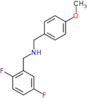 1-(2,5-difluorophenyl)-N-(4-methoxybenzyl)methanamine