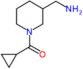 [3-(aminomethyl)-1-piperidyl]-cyclopropyl-methanone