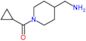 [4-(aminomethyl)-1-piperidyl]-cyclopropyl-methanone