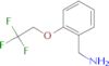 [2-(2,2,2-trifluoroethoxy)phenyl]methanamine