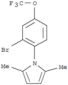 1H-Pyrrole,1-[2-bromo-4-(trifluoromethoxy)phenyl]-2,5-dimethyl-