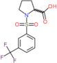 1-{[3-(trifluoromethyl)phenyl]sulfonyl}proline
