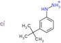 (3-tert-butylphenyl)diazanium chloride