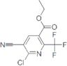 Ethyl 2-chloro-3-cyano-6-(trifluoromethyl)pyridine-5-carboxylate