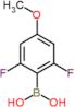 (2,6-difluoro-4-methoxyphenyl)boronic acid
