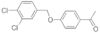 1-{4-[(3,4-dichlorobenzyl)oxy]phenyl}ethan-1-one