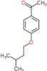 1-[4-(3-methylbutoxy)phenyl]ethanone