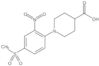 1-[4-(Methylsulfonyl)-2-nitrophenyl]-4-piperidinecarboxylic acid