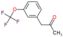 1-[4-(trifluoromethoxy)phenyl]biguanide hydrochloride