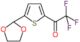 1-[5-(1,3-dioxolan-2-yl)-2-thienyl]-2,2,2-trifluoro-ethanone