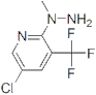 1-[5-chloro-3-(trifluoromethyl)-2-pyridyl]-1-methylhydrazine