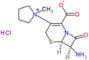 Cloruro de pirrolidinio, 1-[[(6R,7R)-7-amino-2-carboxi-8-oxo-5-tia-1-azabiciclo[4.2.0]oct-2-en-3...