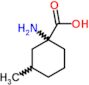 1-amino-3-methylcyclohexanecarboxylic acid