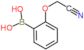 [2-(cyanomethoxy)phenyl]boronic acid