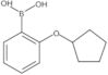 B-[2-(Cyclopentyloxy)phenyl]boronic acid