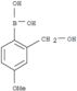 Boronic acid,[2-(hydroxymethyl)-4-methoxyphenyl]- (9CI)