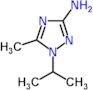 5-Methyl-1-(1-methylethyl)-1H-1,2,4-triazol-3-amine