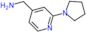 1-[2-(pyrrolidin-1-yl)pyridin-4-yl]methanamine