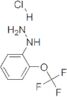 1-(2-(trifluoromethoxy)phenyl)hydrazine(HCl)