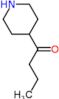 1-piperidin-4-ylbutan-1-one