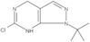 6-Chloro-1-(1,1-dimethylethyl)-4,7-dihydro-1H-pyrazolo[3,4-d]pyrimidine