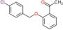 1-{2-[(4-chlorobenzyl)oxy]phenyl}ethanone