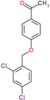 1-{4-[(2,4-dichlorobenzyl)oxy]phenyl}ethanone