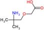 (2-amino-2-methylpropoxy)acetic acid