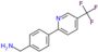 [4-[5-(trifluoromethyl)-2-pyridyl]phenyl]methanamine