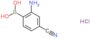 Boronic acid, B-(2-amino-4-cyanophenyl)-, hydrochloride (1:1)