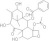 10-Deacetylbaccatin III