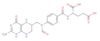 10-Formyltetrahydrofolate