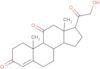 11-Dehydrocorticosterone