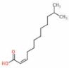 (2Z)-11-Methyl-2-dodecenoic acid