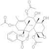 9-dihydro-13-acetylbaccatin iii