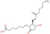 (11α,13E)-11-Hydroxy-9,15-dioxoprost-13-en-1-oic acid