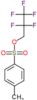 2,2,3,3,3-pentafluoropropyl 4-methylbenzenesulfonate