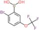 [2-bromo-5-(trifluoromethoxy)phenyl]boronic acid