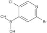 B-(2-Bromo-5-chloro-4-pyridinyl)boronic acid