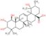 (1beta,2alpha,3alpha,5xi,18alpha)-1,2,3,19-tetrahydroxyurs-12-en-28-oic acid