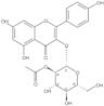 3-[(2-O-Acetyl-β-D-glucopyranosyl)oxy]-5,7-dihydroxy-2-(4-hydroxyphenyl)-4H-1-benzopyran-4-one