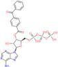 Adenosine 5′-(tetrahydrogen triphosphate), 3′-(4-benzoylbenzoate)