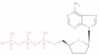 2',3'-Dideoxyadenosine triphosphoric acid = ddATP