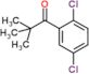 1-(2,5-dichlorophenyl)-2,2-dimethyl-propan-1-one