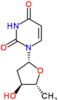 2',5'-dideoxyuridine