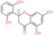 (2S)-2-(2,6-dihydroxyphenyl)-5,7-dihydroxy-2,3-dihydro-4H-chromen-4-one