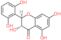 (2R,3R)-2-(2,6-dihydroxyphenyl)-3,5,7-trihydroxy-2,3-dihydro-4H-chromen-4-one